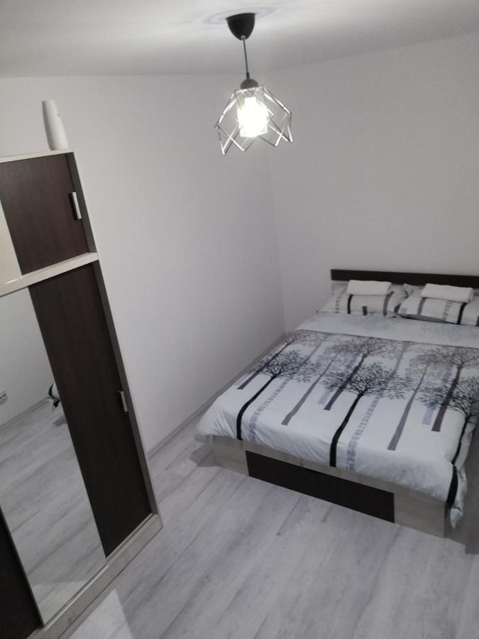 Apartament Brezoiアパートメント エクステリア 写真