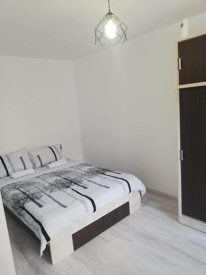 Apartament Brezoiアパートメント エクステリア 写真