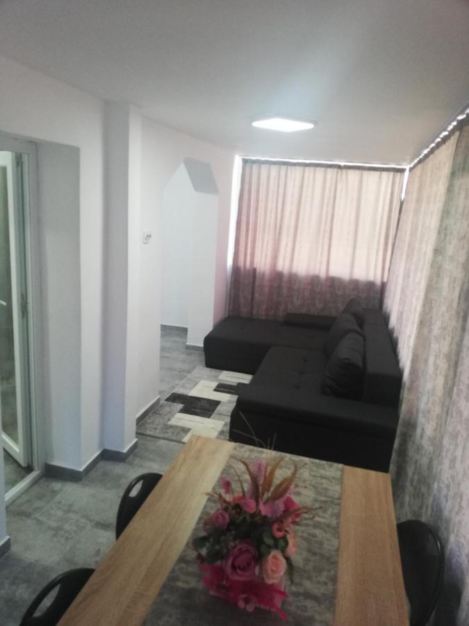 Apartament Brezoiアパートメント エクステリア 写真