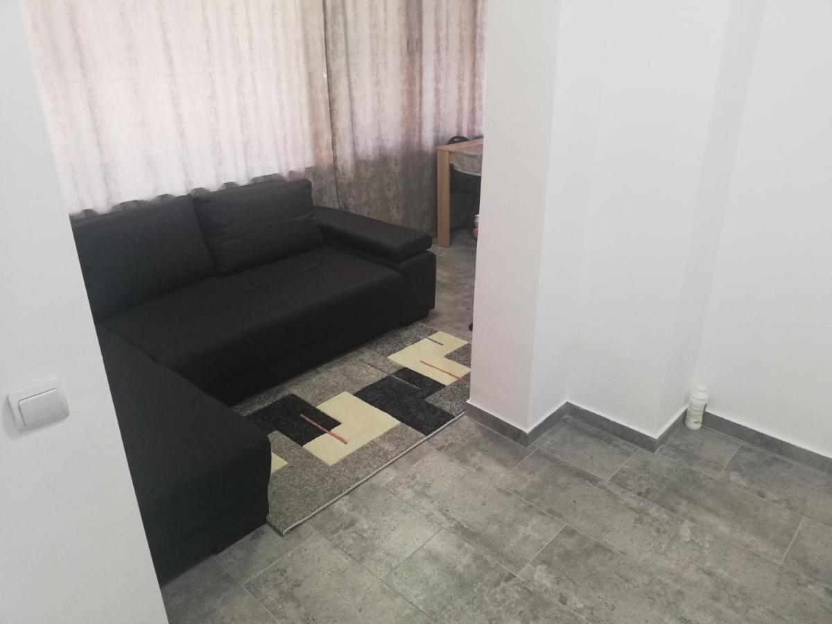 Apartament Brezoiアパートメント エクステリア 写真