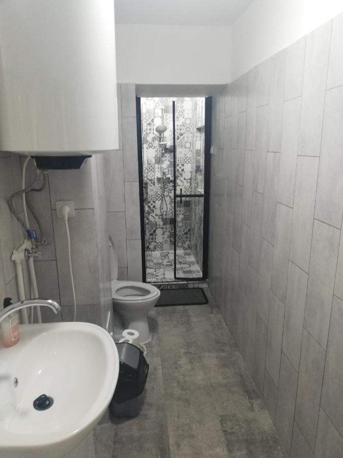Apartament Brezoiアパートメント エクステリア 写真