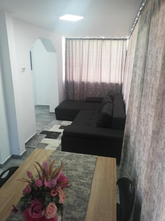 Apartament Brezoiアパートメント エクステリア 写真
